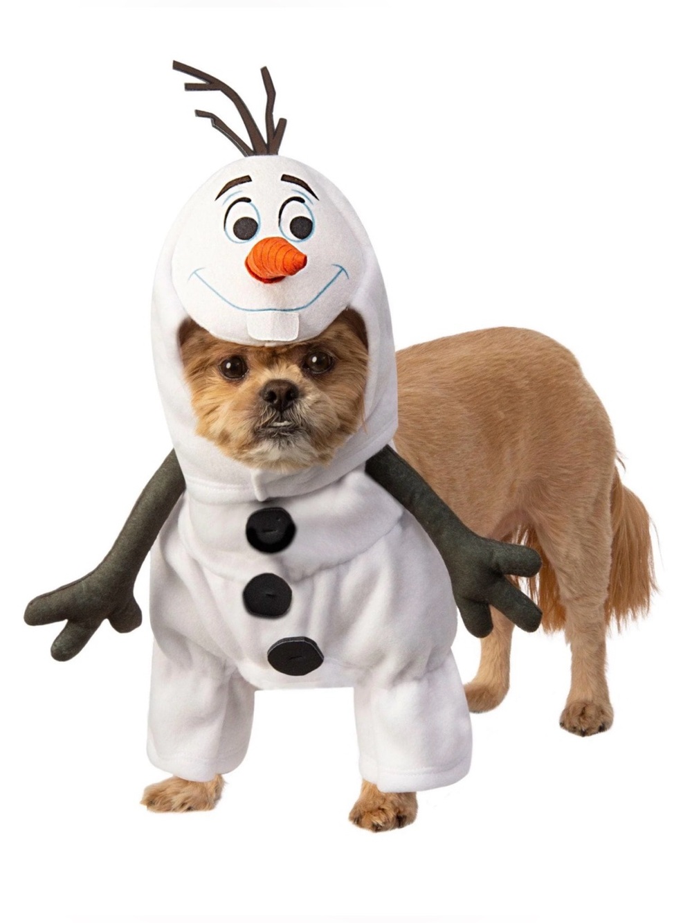 Olaf Disney Frozen II Snowman Pet Costume
